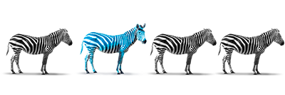 zèbre bleu zèbre bleu